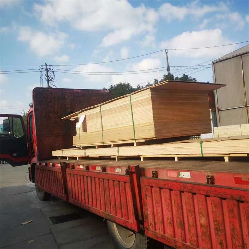 江西赣州全南县至塔城货运专线，一站式物流服务助您成功